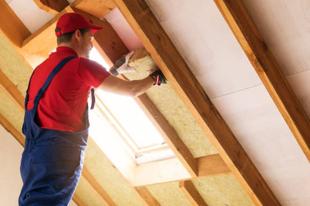 Best Attic Insulation Installation  in Twin City, GA